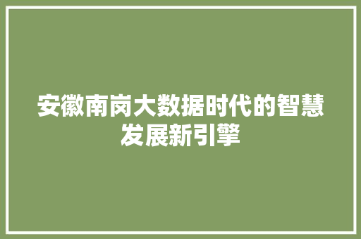 安徽南岗大数据时代的智慧发展新引擎