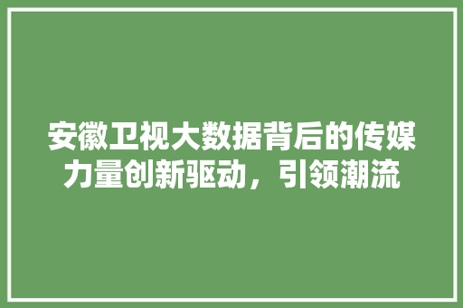 安徽卫视大数据背后的传媒力量创新驱动，引领潮流  第1张