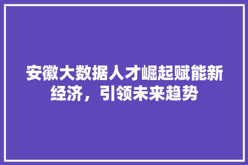 安徽大数据人才崛起赋能新经济，引领未来趋势  第1张