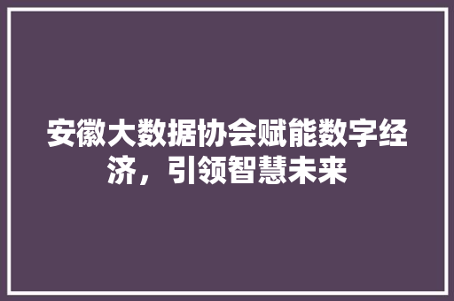 安徽大数据协会赋能数字经济，引领智慧未来