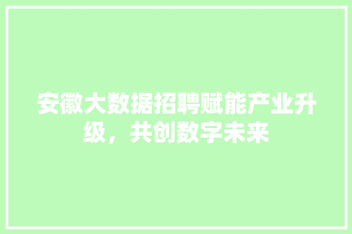 安徽大数据招聘赋能产业升级，共创数字未来  第1张