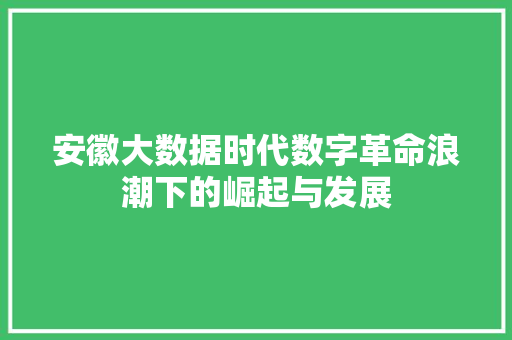 安徽大数据时代数字革命浪潮下的崛起与发展  第1张