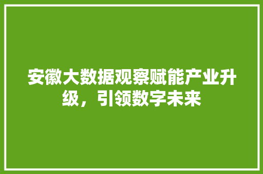 安徽大数据观察赋能产业升级，引领数字未来  第1张