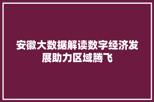 安徽大数据解读数字经济发展助力区域腾飞  第1张