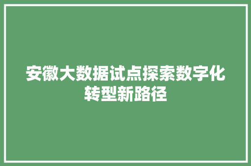 安徽大数据试点探索数字化转型新路径  第1张