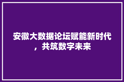 安徽大数据论坛赋能新时代，共筑数字未来  第1张