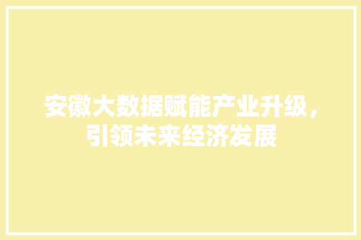 安徽大数据赋能产业升级，引领未来经济发展  第1张