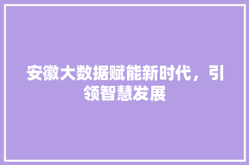 安徽大数据赋能新时代，引领智慧发展  第1张