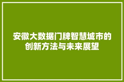 安徽大数据门牌智慧城市的创新方法与未来展望