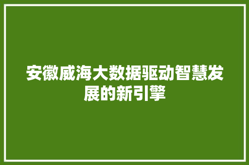 安徽威海大数据驱动智慧发展的新引擎  第1张