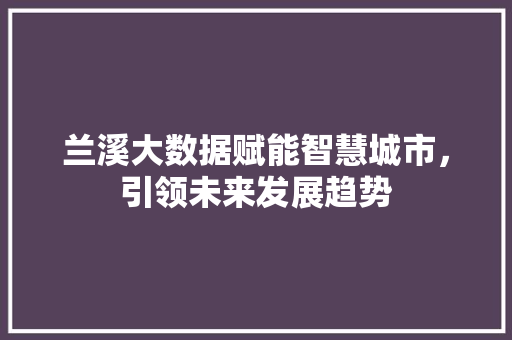 兰溪大数据赋能智慧城市，引领未来发展趋势