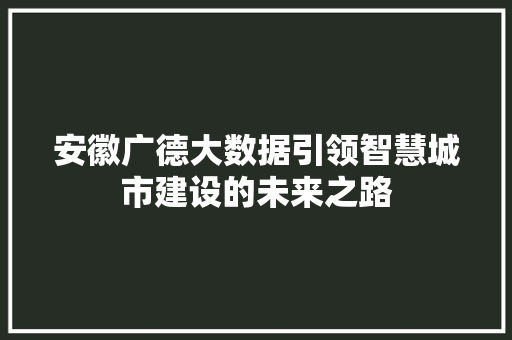 安徽广德大数据引领智慧城市建设的未来之路