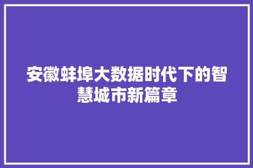 安徽蚌埠大数据时代下的智慧城市新篇章
