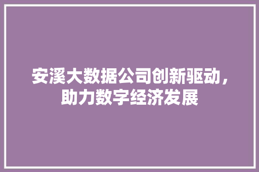安溪大数据公司创新驱动，助力数字经济发展