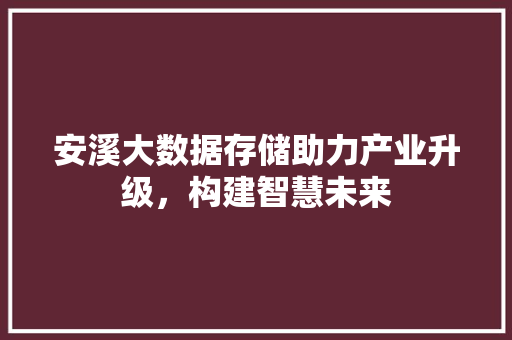 安溪大数据存储助力产业升级，构建智慧未来