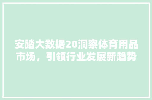安踏大数据20洞察体育用品市场，引领行业发展新趋势