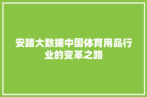安踏大数据中国体育用品行业的变革之路