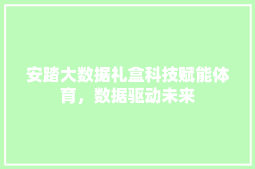 安踏大数据礼盒科技赋能体育，数据驱动未来