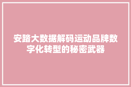 安踏大数据解码运动品牌数字化转型的秘密武器