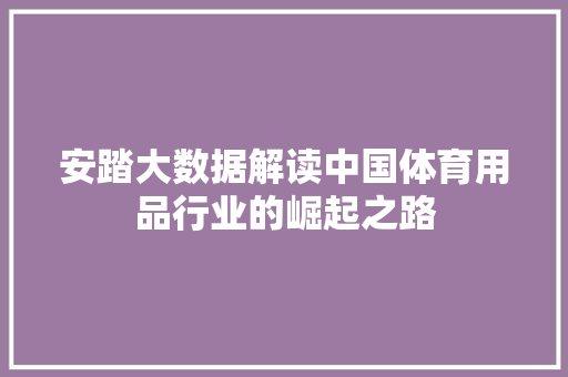 安踏大数据解读中国体育用品行业的崛起之路