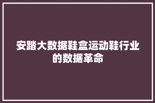 安踏大数据鞋盒运动鞋行业的数据革命