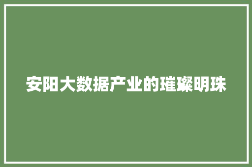 安阳大数据产业的璀璨明珠