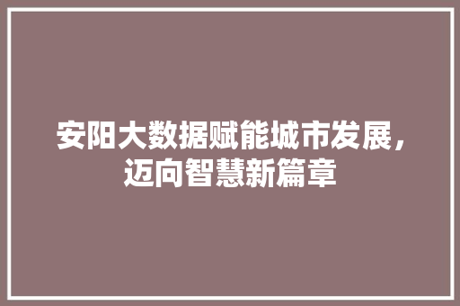 安阳大数据赋能城市发展，迈向智慧新篇章