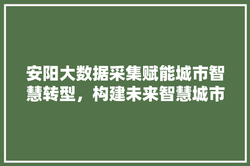 安阳大数据采集赋能城市智慧转型，构建未来智慧城市新格局