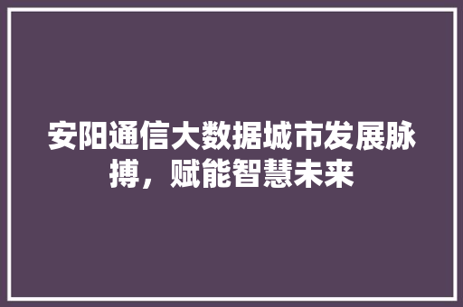 安阳通信大数据城市发展脉搏，赋能智慧未来