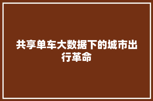 共享单车大数据下的城市出行革命