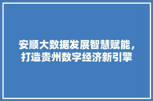 安顺大数据发展智慧赋能，打造贵州数字经济新引擎