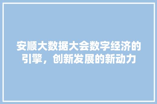 安顺大数据大会数字经济的引擎，创新发展的新动力