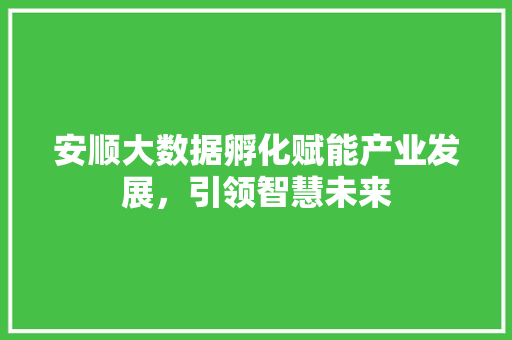 安顺大数据孵化赋能产业发展，引领智慧未来
