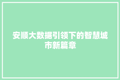 安顺大数据引领下的智慧城市新篇章