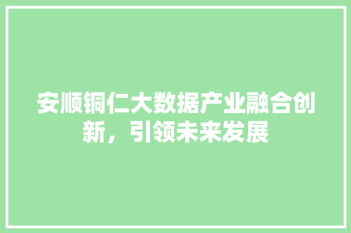 安顺铜仁大数据产业融合创新，引领未来发展  第1张