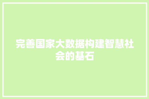 完善国家大数据构建智慧社会的基石