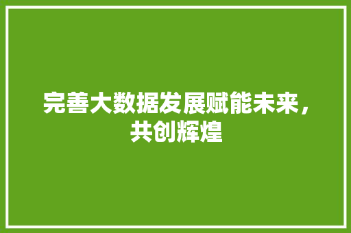 完善大数据发展赋能未来，共创辉煌  第1张