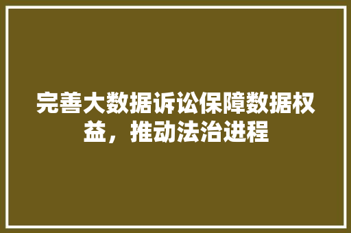 完善大数据诉讼保障数据权益，推动法治进程  第1张