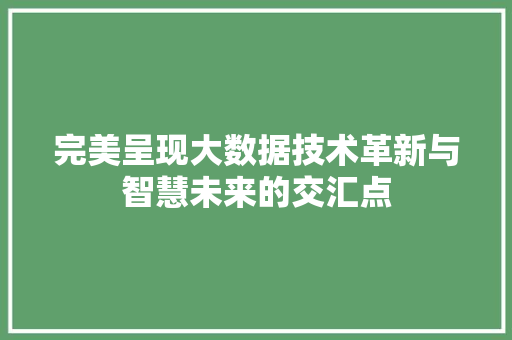 完美呈现大数据技术革新与智慧未来的交汇点  第1张