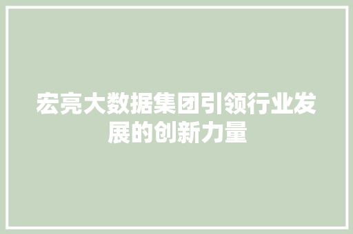 宏亮大数据集团引领行业发展的创新力量
