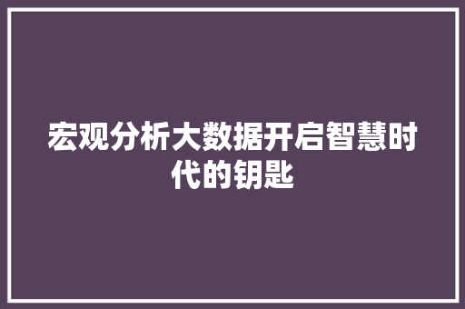 宏观分析大数据开启智慧时代的钥匙  第1张