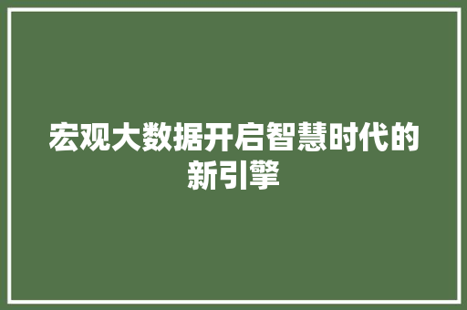 宏观大数据开启智慧时代的新引擎