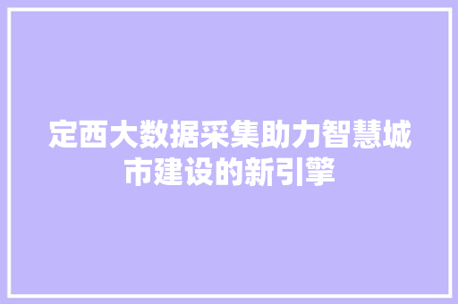 定西大数据采集助力智慧城市建设的新引擎