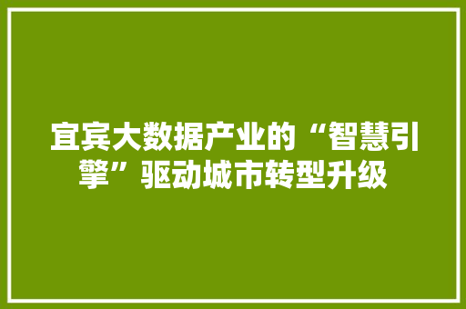 宜宾大数据产业的“智慧引擎”驱动城市转型升级