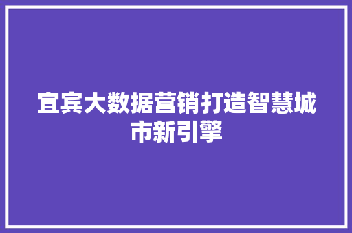 宜宾大数据营销打造智慧城市新引擎