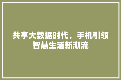 共享大数据时代，手机引领智慧生活新潮流