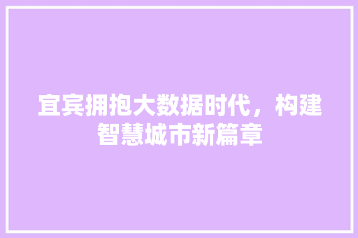 宜宾拥抱大数据时代，构建智慧城市新篇章