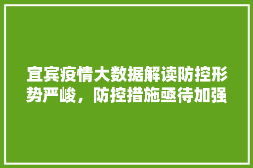 宜宾疫情大数据解读防控形势严峻，防控措施亟待加强  第1张