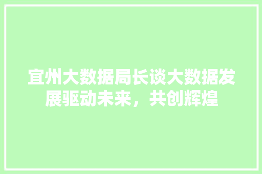 宜州大数据局长谈大数据发展驱动未来，共创辉煌