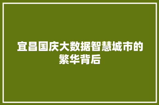 宜昌国庆大数据智慧城市的繁华背后